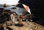 Banyuls sur mer